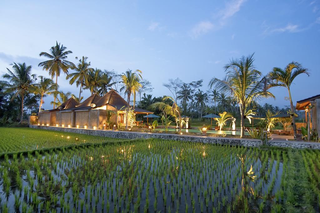 Pajar House Ubud Suite & Villas חדר תמונה