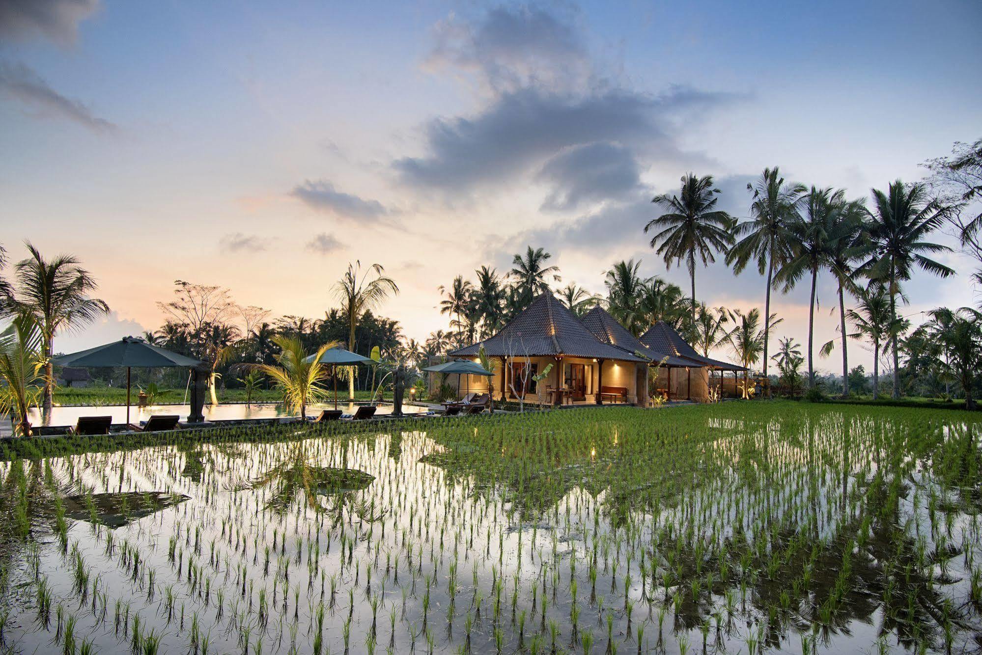 Pajar House Ubud Suite & Villas מראה חיצוני תמונה