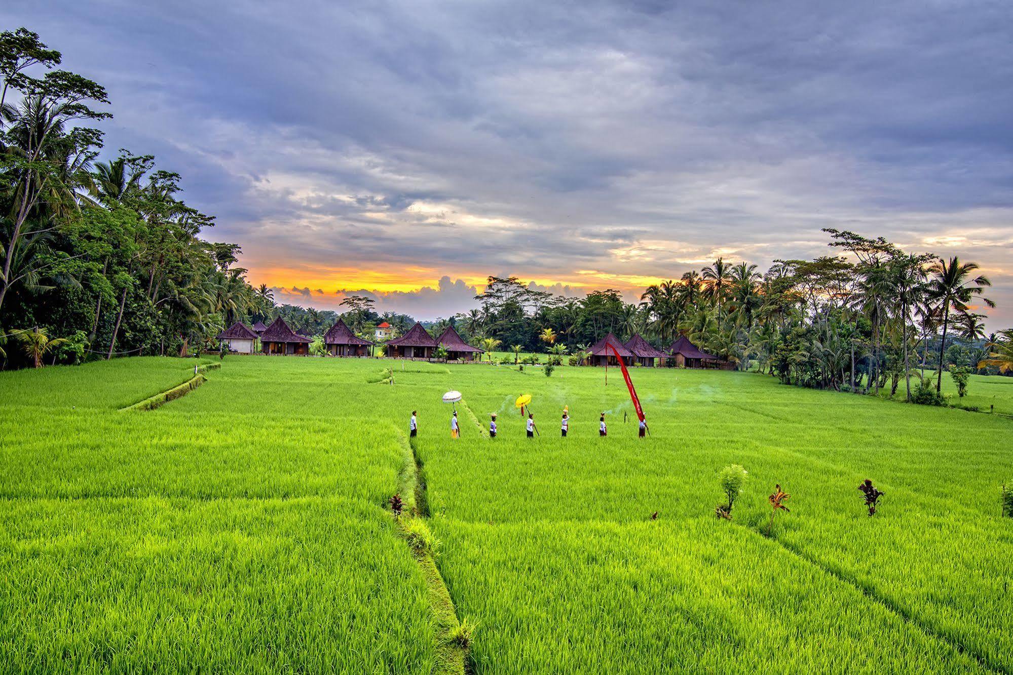 Pajar House Ubud Suite & Villas מראה חיצוני תמונה