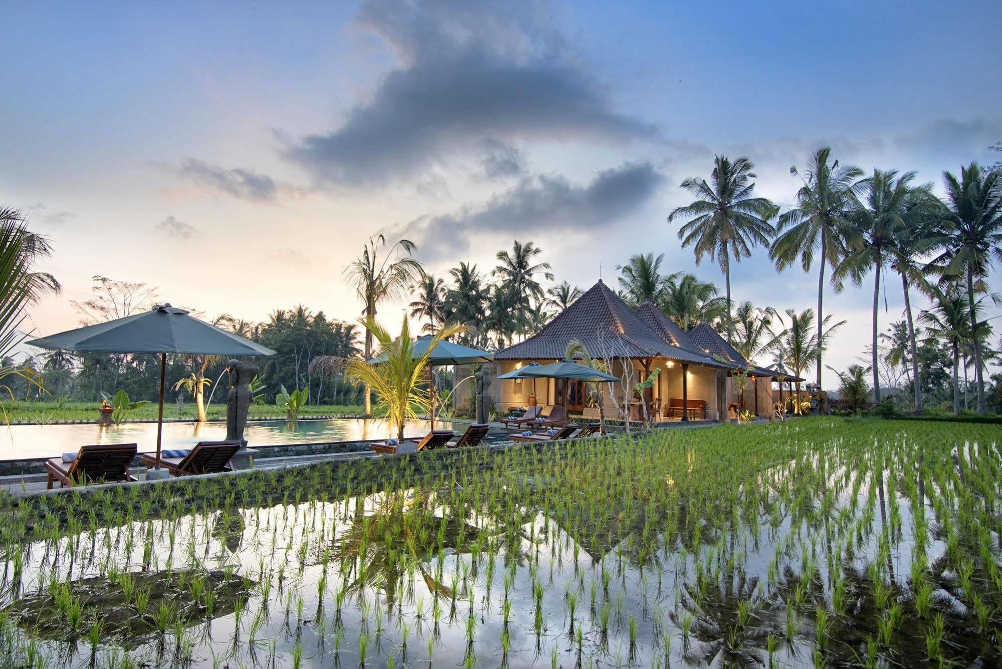 Pajar House Ubud Suite & Villas מראה חיצוני תמונה